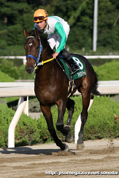 �}�C�V�X�h���[��