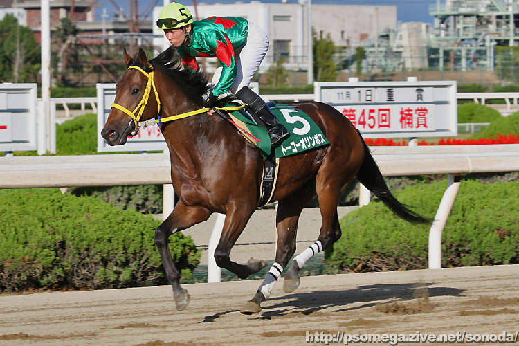 �g�[�R�[�I�����|�X