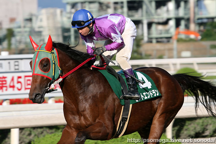 �q�b�g�G���h����