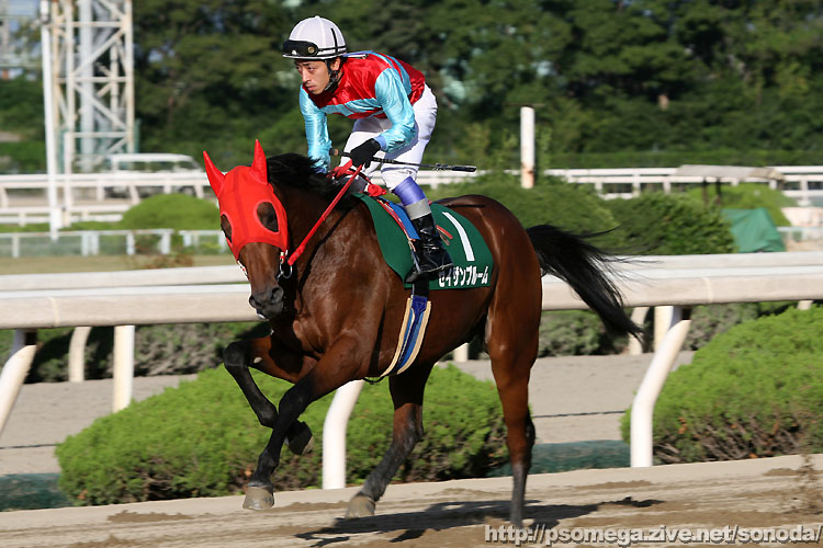 �Z�C�U���u���[��