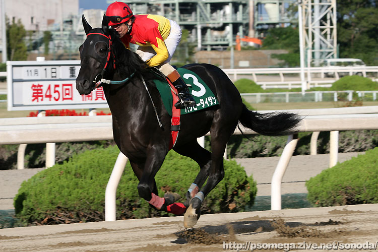 �n�b�s�[�^�C�U��