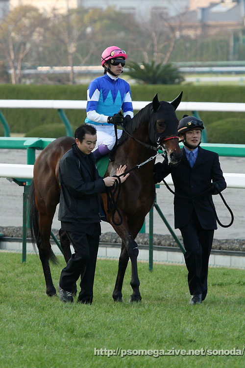 ���B�N�g���[