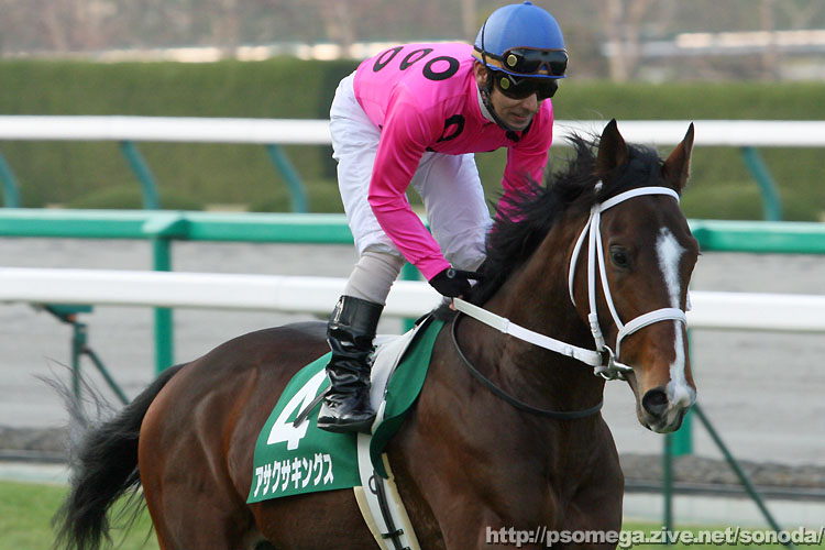 �A�T�N�T�L���O�X