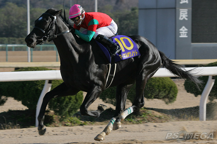 �}�C�l���{�E�m�b�g