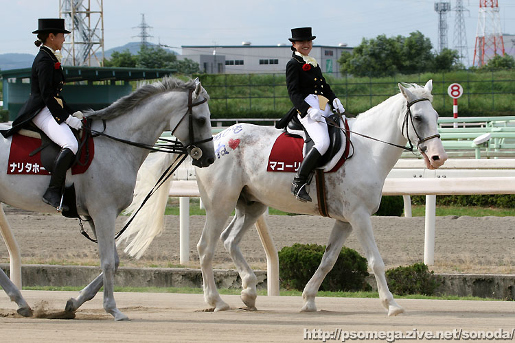 �ےÔu�U���n