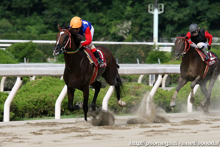 �W���C�[��