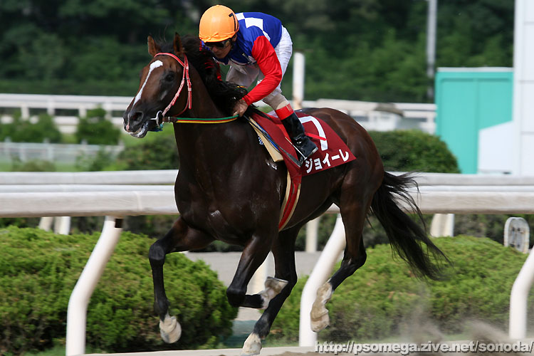 �W���C�[��