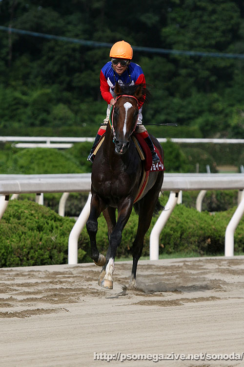 �W���C�[���A�E�B�j���O����