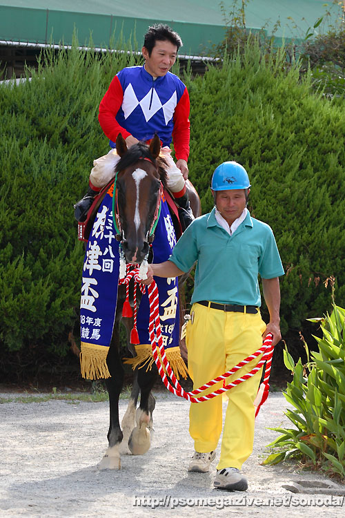 �W���C�[��