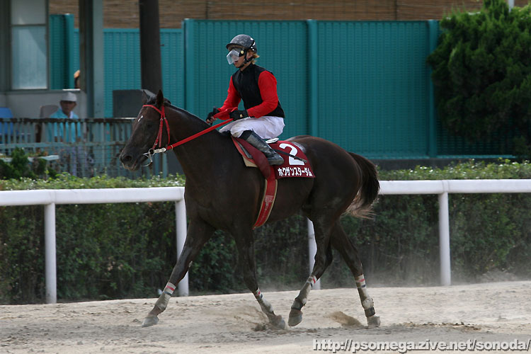 �z�N�U���X�^�[�_��