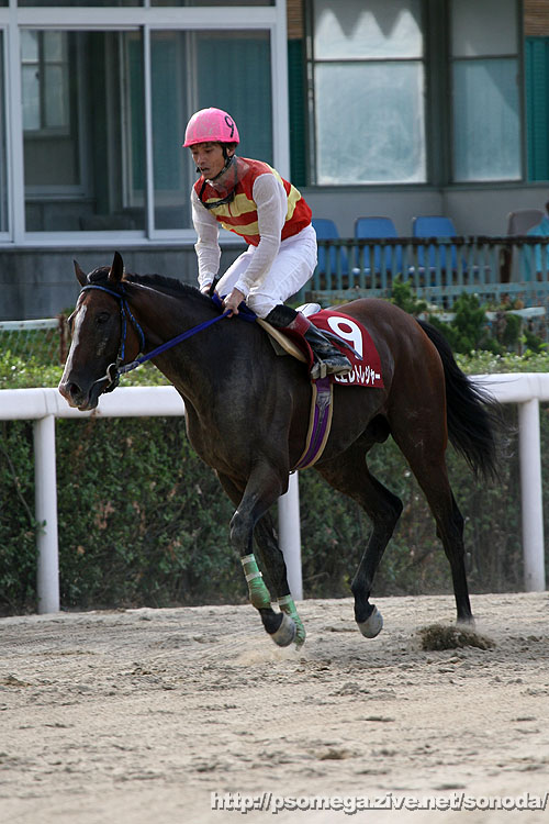 ���G���g���W���[