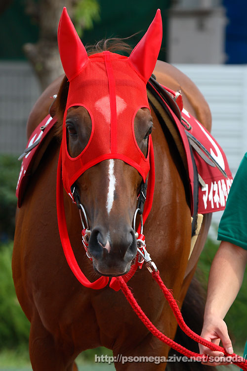 �}�C�l���T�C�v���X