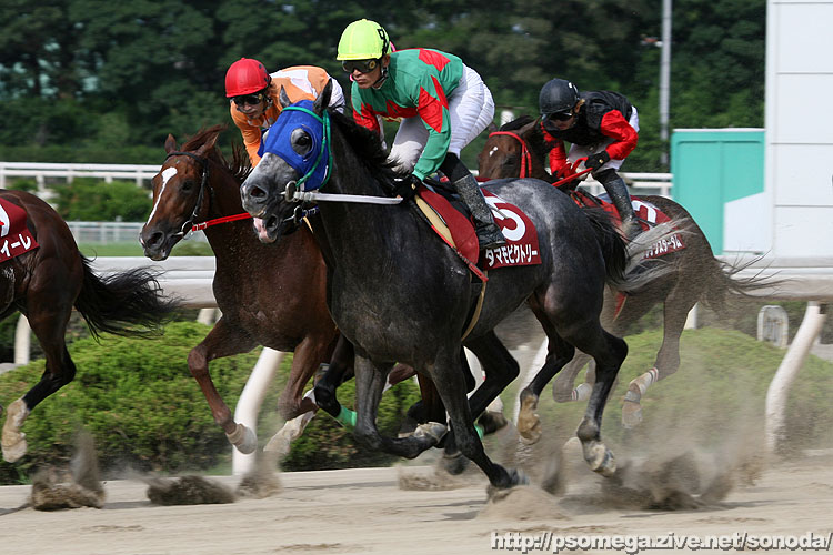 �^�}���r�N�g���[