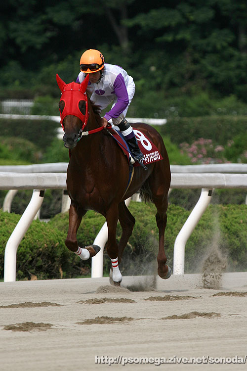 �n�[�g�����h���o��