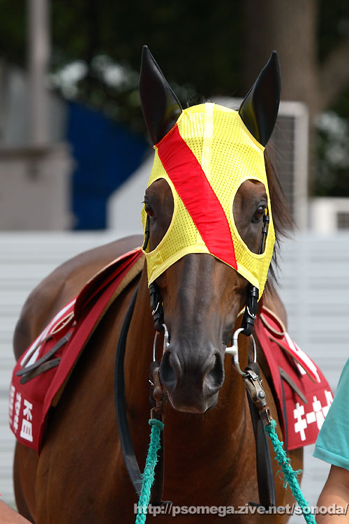 �L�[�z�[�N