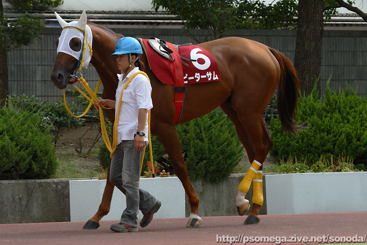 �s�[�^�[�T��