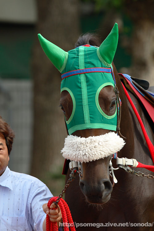 �r�r�b�g�v����