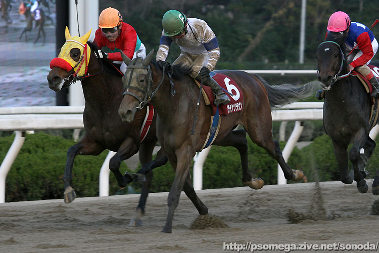 �v���`�i�N���E��