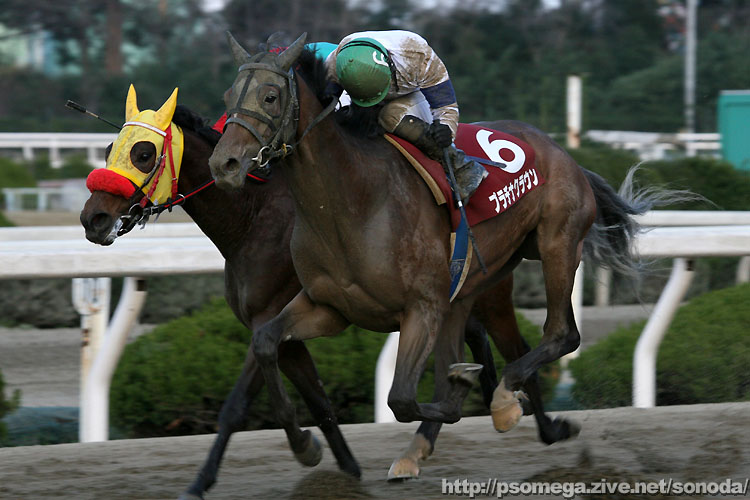 �v���`�i�N���E��