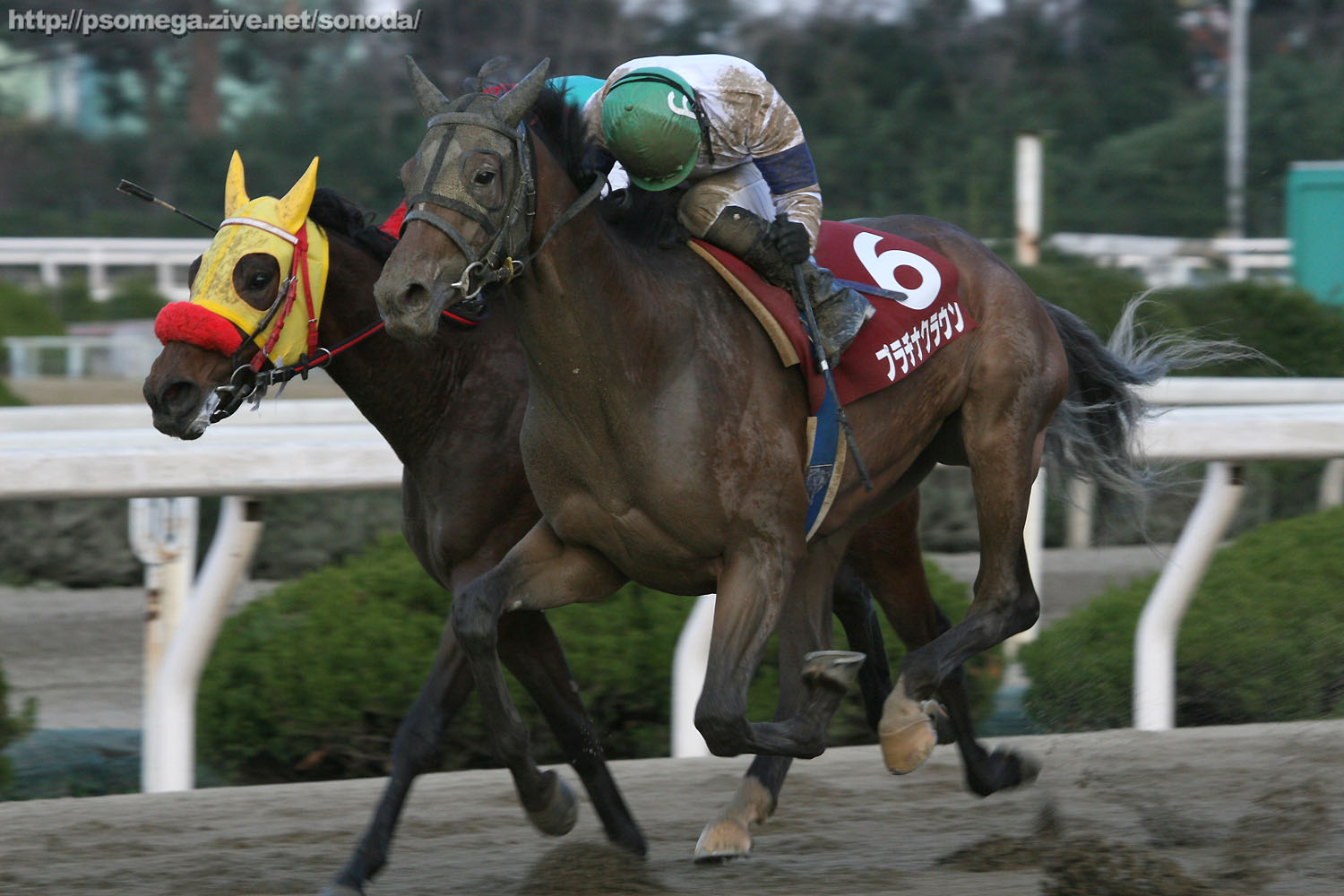 ��35�񉀓c�W���j�A�J�b�v