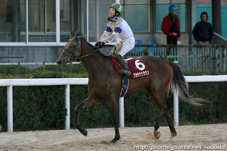 �v���`�i�N���E��