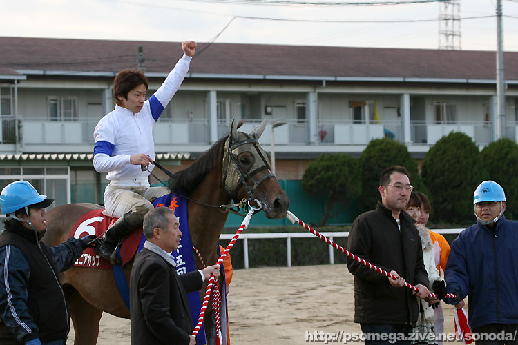 �v���`�i�N���E��