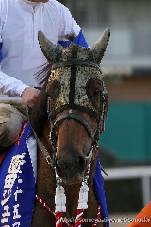 �v���`�i�N���E��