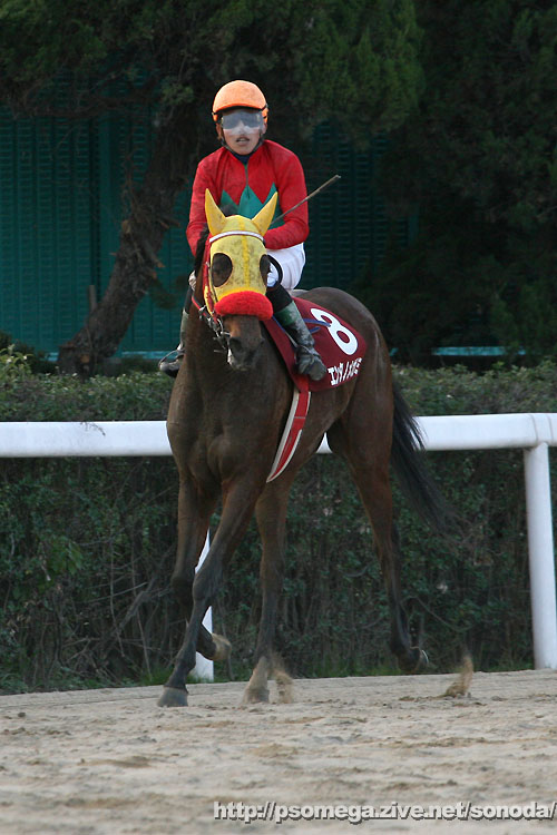 �G���^�m���K�~