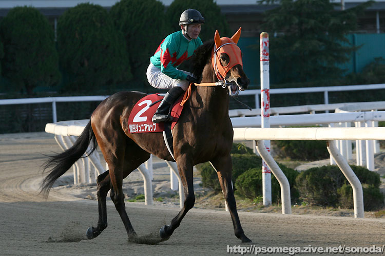 �z�N�Z�c�t�@�~���[