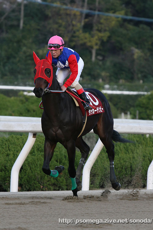 �^�b�J�[�e���r�[