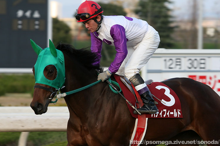 �p�f�B�t�B�[���h