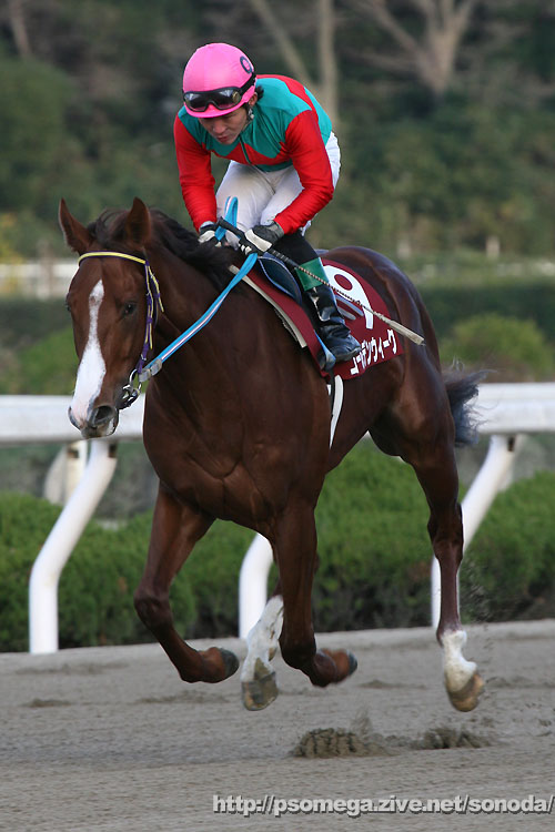 �S�[���f���E�B�[�N