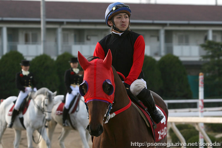 �X�s�[�f�B�o����