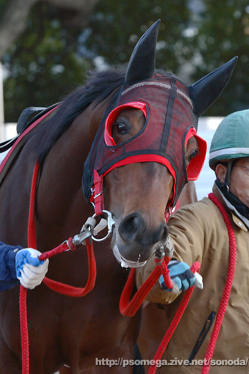 �N�[�����X�J��