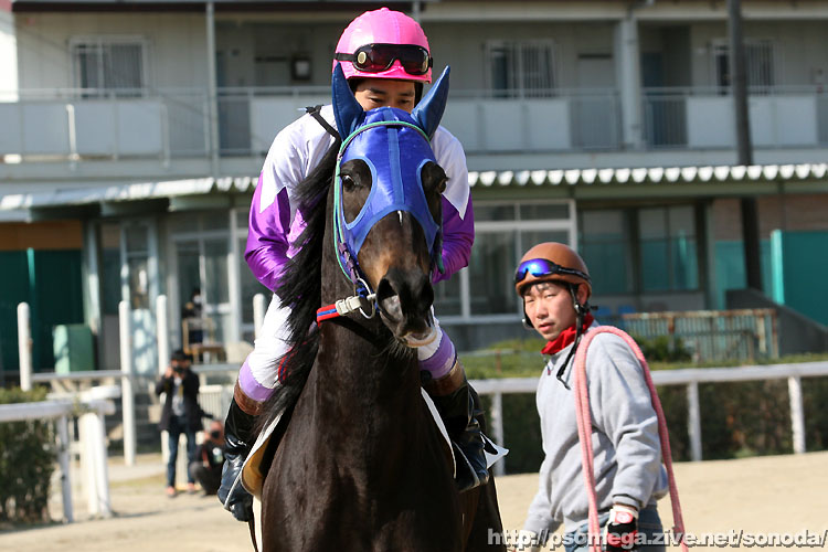 �V���b�t��