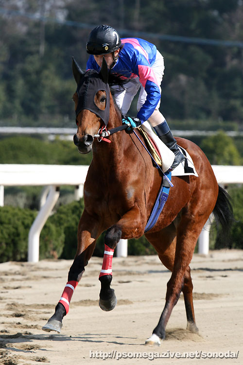 �G���U�x�X�N�B�[��