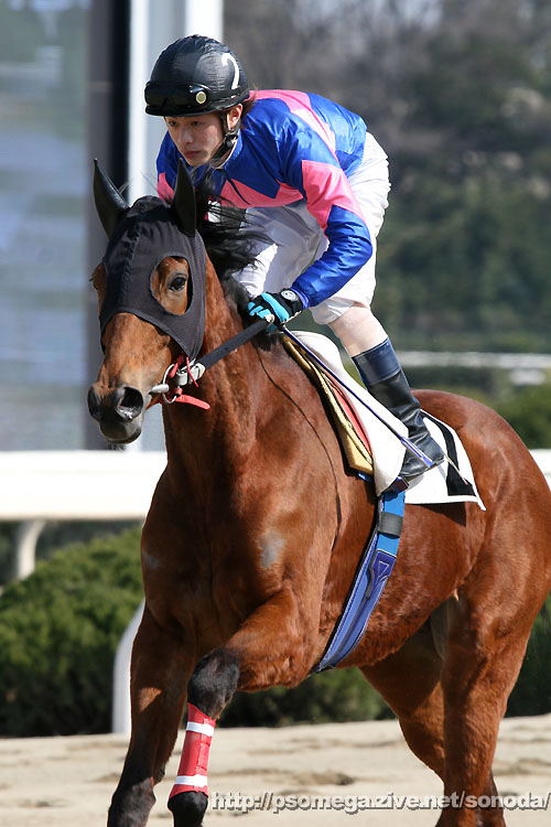 �G���U�x�X�N�B�[��