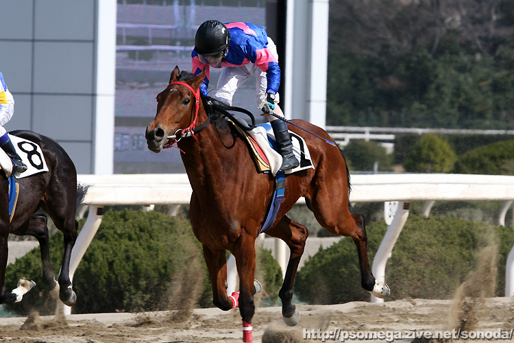 �G���U�x�X�N�B�[��