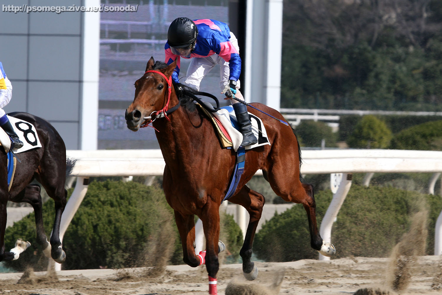 �G���U�x�X�N�B�[��