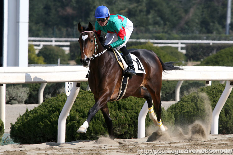 �N�T�^���E