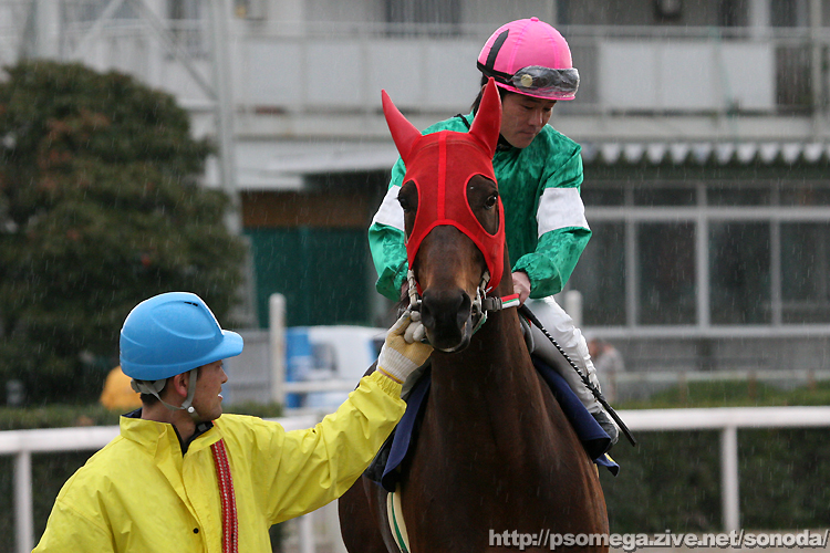 �{�n�����