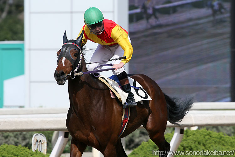 �ɓ��W��R��