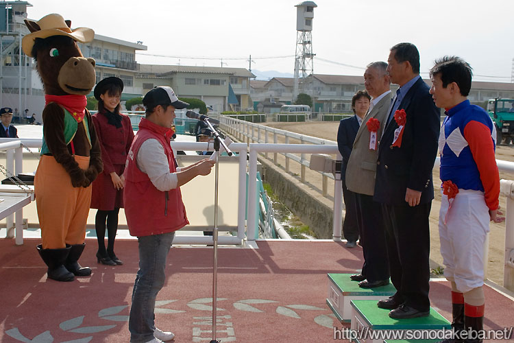 �r�b�O�C���f�B