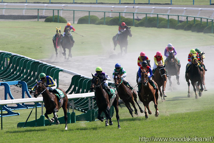 ���s�W�����v�r