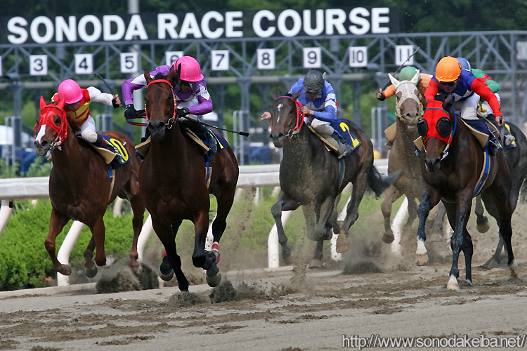 �R�X���n�[�h���J�[