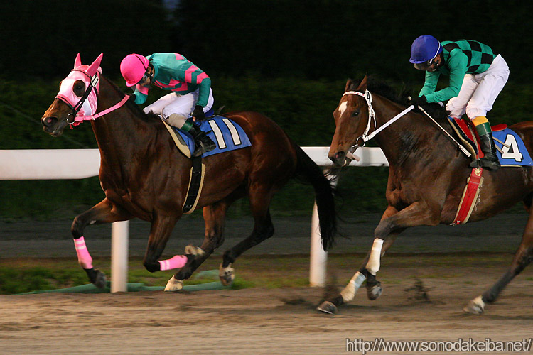 �^�C���p���h�b�N�X��