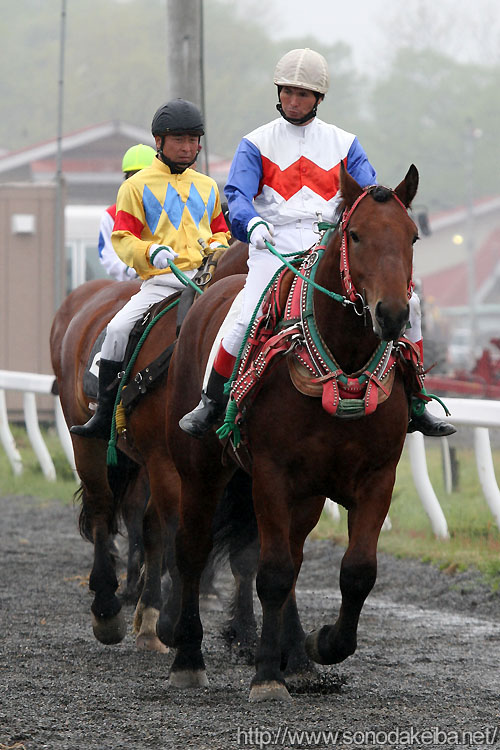 �΂�n�Ɍׂ�R��