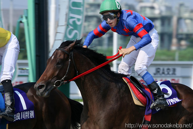 2���ł������������R��