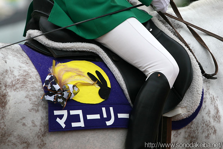 �}�R�[���[�̃[�b�P��