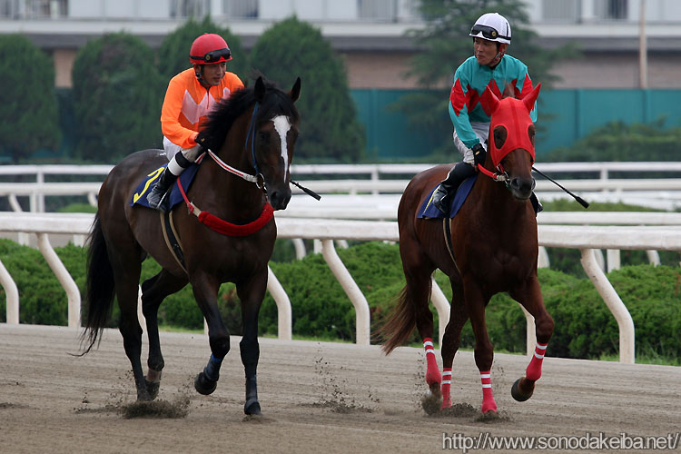 �ؑ��R��Ɠc���R��